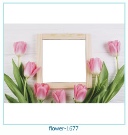 cadre photo fleur 1677