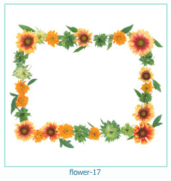 cadre photo de l'année de la fleur 17
