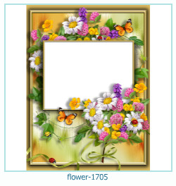 cadre photo fleur 1705