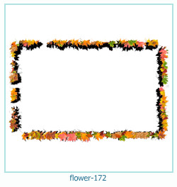 cadre photo fleur 172