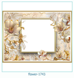 cadre photo fleur 1743