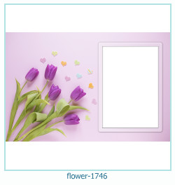 cadre photo fleur 1746