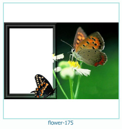 cadre photo fleur 175