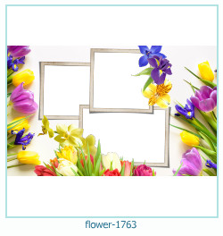 cadre photo fleur 1763