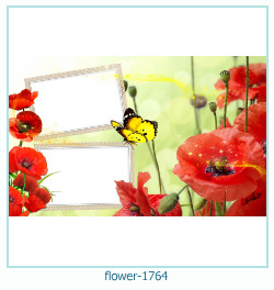 cadre photo fleur 1764