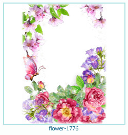 cadre photo fleur 1776