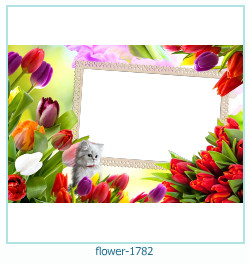 cadre photo fleur 1782