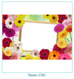 flower Photo frame 1783