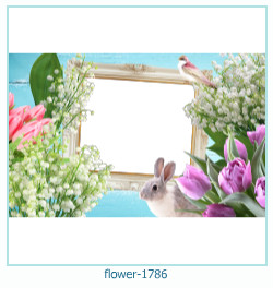 cadre photo fleur 1786
