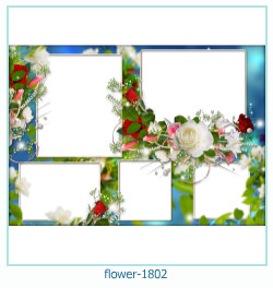 cadre photo fleur 1802