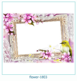 cadre photo fleur 1803