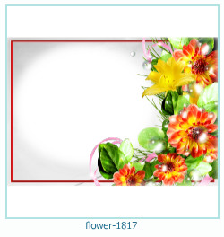 cadre photo fleur 1817