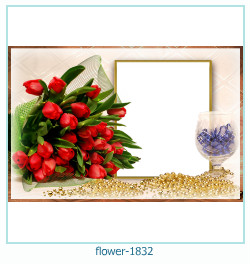 cadre photo fleur 1832