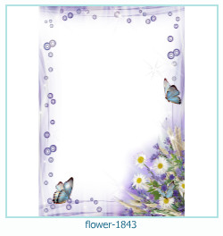 cadre photo fleur 1843