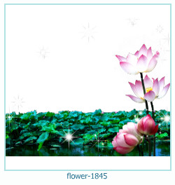 cadre photo fleur 1845