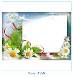 cadre photo fleur 1850