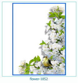 cadre photo fleur 1852
