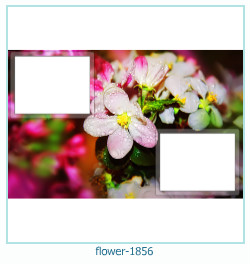 cadre photo fleur 1856