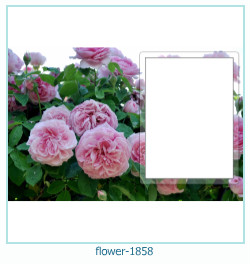 cadre photo fleur 1858