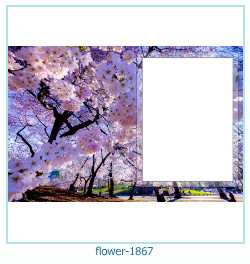 cadre photo fleur 1867