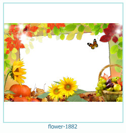 cadre photo fleur 1882