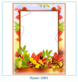 cadre photo fleur 1884