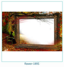 cadre photo fleur 1895