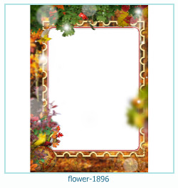 cadre photo fleur 1896