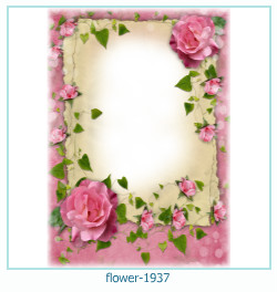 cadre photo fleur 1937