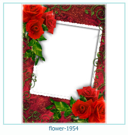 cadre photo fleur 1954