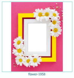 cadre photo fleur 1958