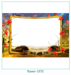 cadre photo fleur 1970