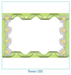 cadre photo fleur 200