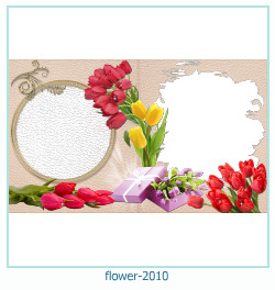 cadre photo fleur 2010