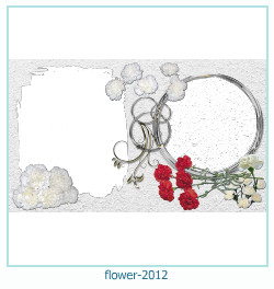 cadre photo fleur 2012
