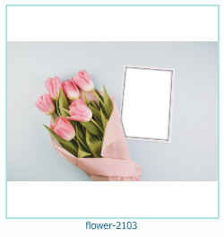cadre photo fleur 2103
