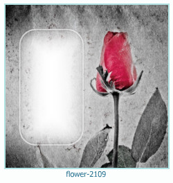cadre photo fleur 2109