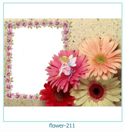 cadre photo fleur 211