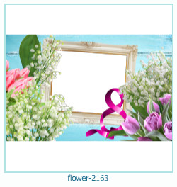 cadre photo fleur 2163