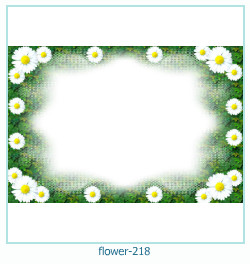 cadre photo fleur 218