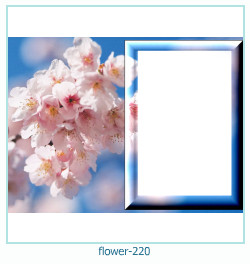 cadre photo fleur 220