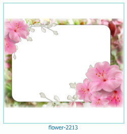 2213 cadre photo avec des fleurs