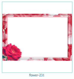 cadre photo fleur 231
