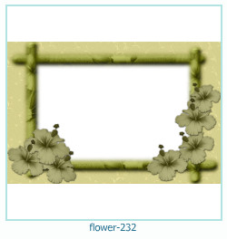 cadre photo fleur 232