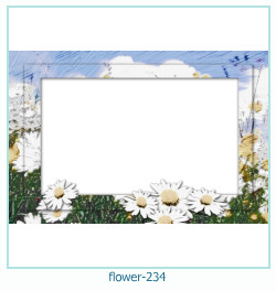 cadre photo fleur 234