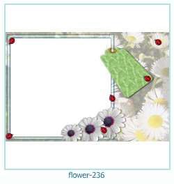 cadre photo fleur 236