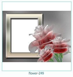 cadre photo fleur 249