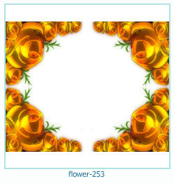 cadre photo fleur 253