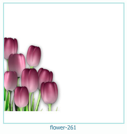 cadre photo fleur 261