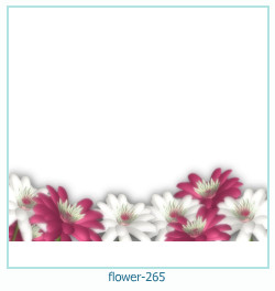 cadre photo fleur 265